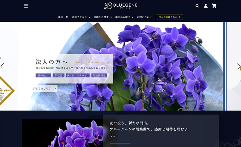 胡蝶蘭の通販